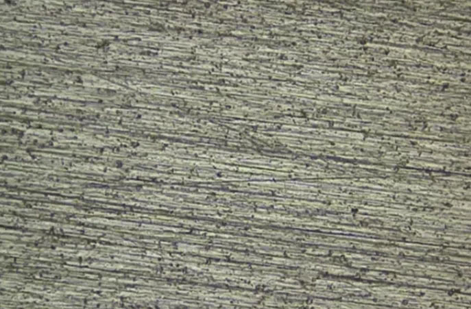 圖2 C組中TC4鈦合金腐蝕后宏觀形貌 圖2 C組中TC4鈦合金腐蝕后宏觀形貌