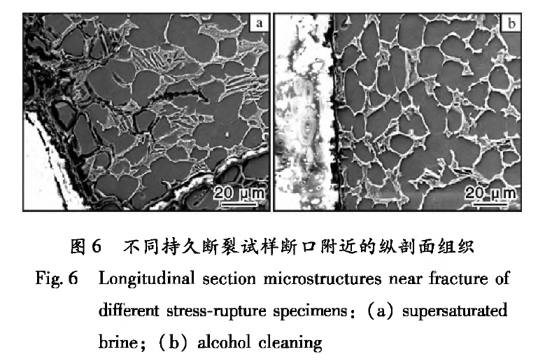 1659106591152569.jpg t6.jpg