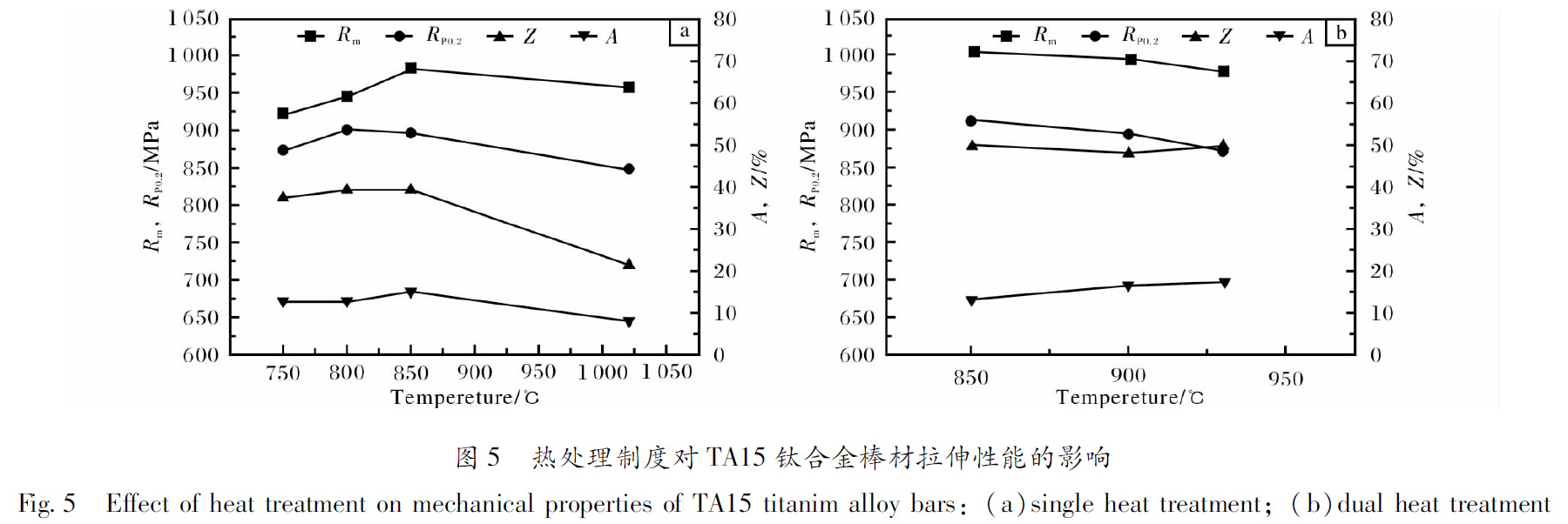 1660485258984120.jpg t5.jpg