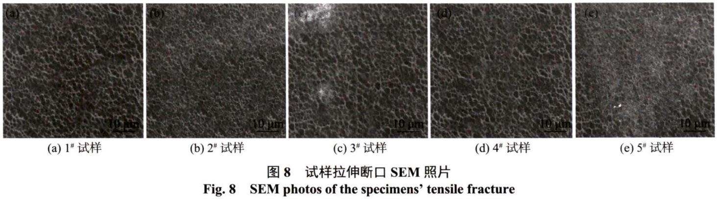 1686300872613022.jpg t8.jpg