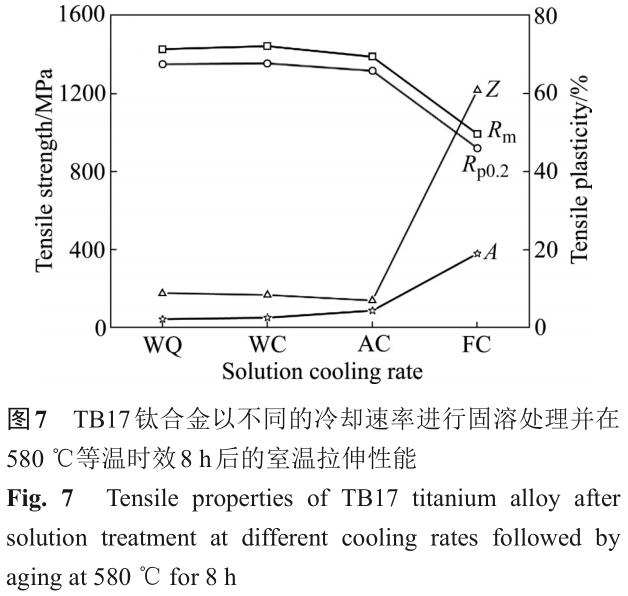 1701442256311637.jpg t7.jpg