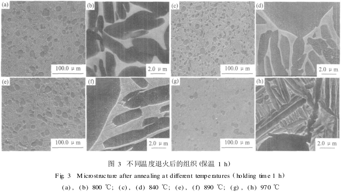 1705795788147303.jpg t3.jpg