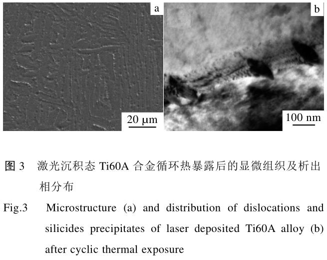 1708439142841872.jpg t3.jpg