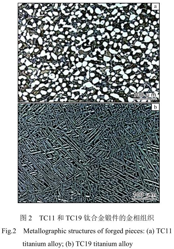 1713444002658455.jpg 360截圖164408146499112.jpg