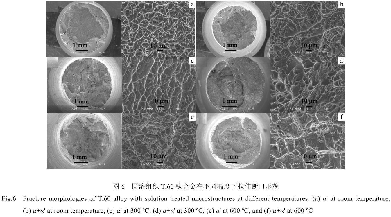 1716176721995140.jpg 360截圖16411209109109153.jpg