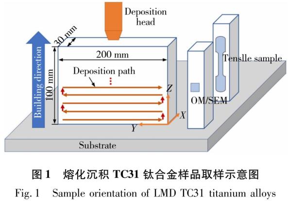 1723799160426616.jpg t1.jpg