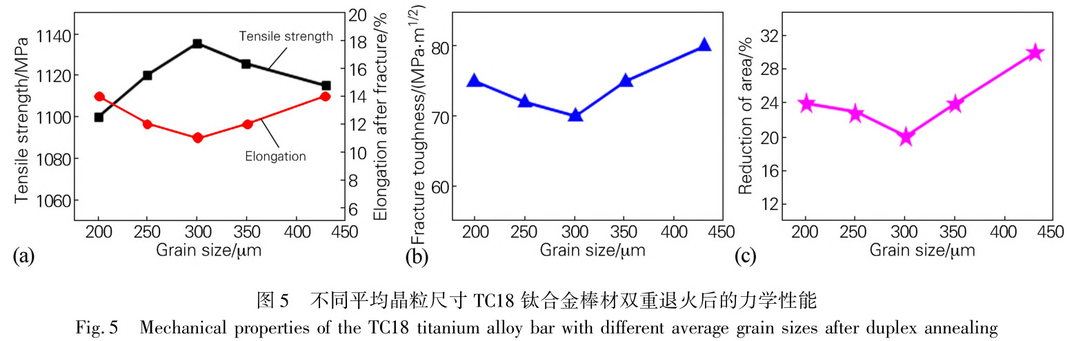 1728640196837085.jpg 5.jpg