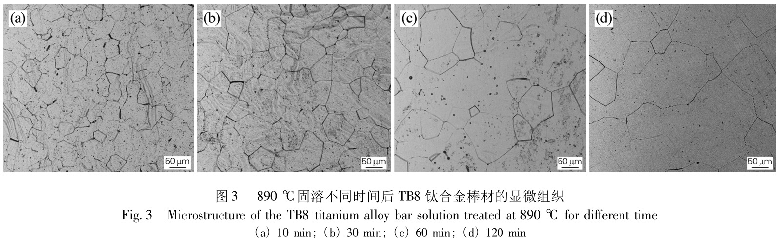 1733646258930977.jpg t3.jpg