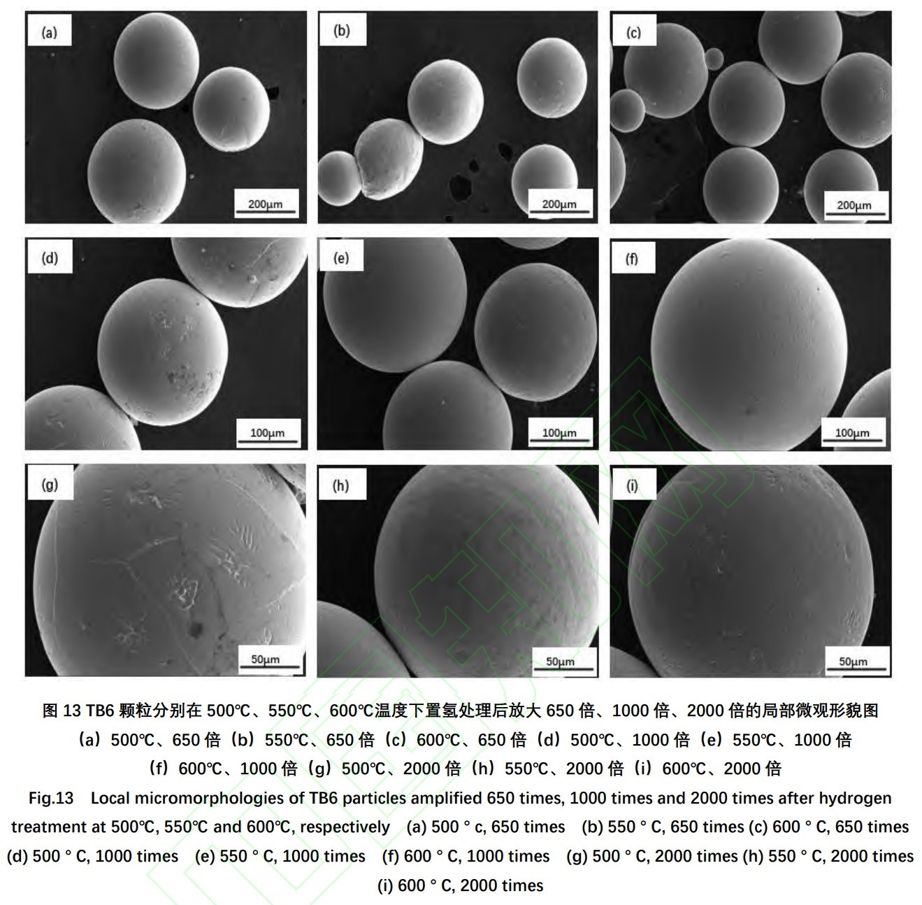 1734250705398339.jpg 13.jpg