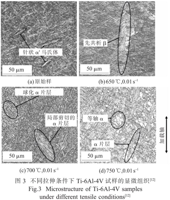 1743387331518386.png 截圖20250331101341.png