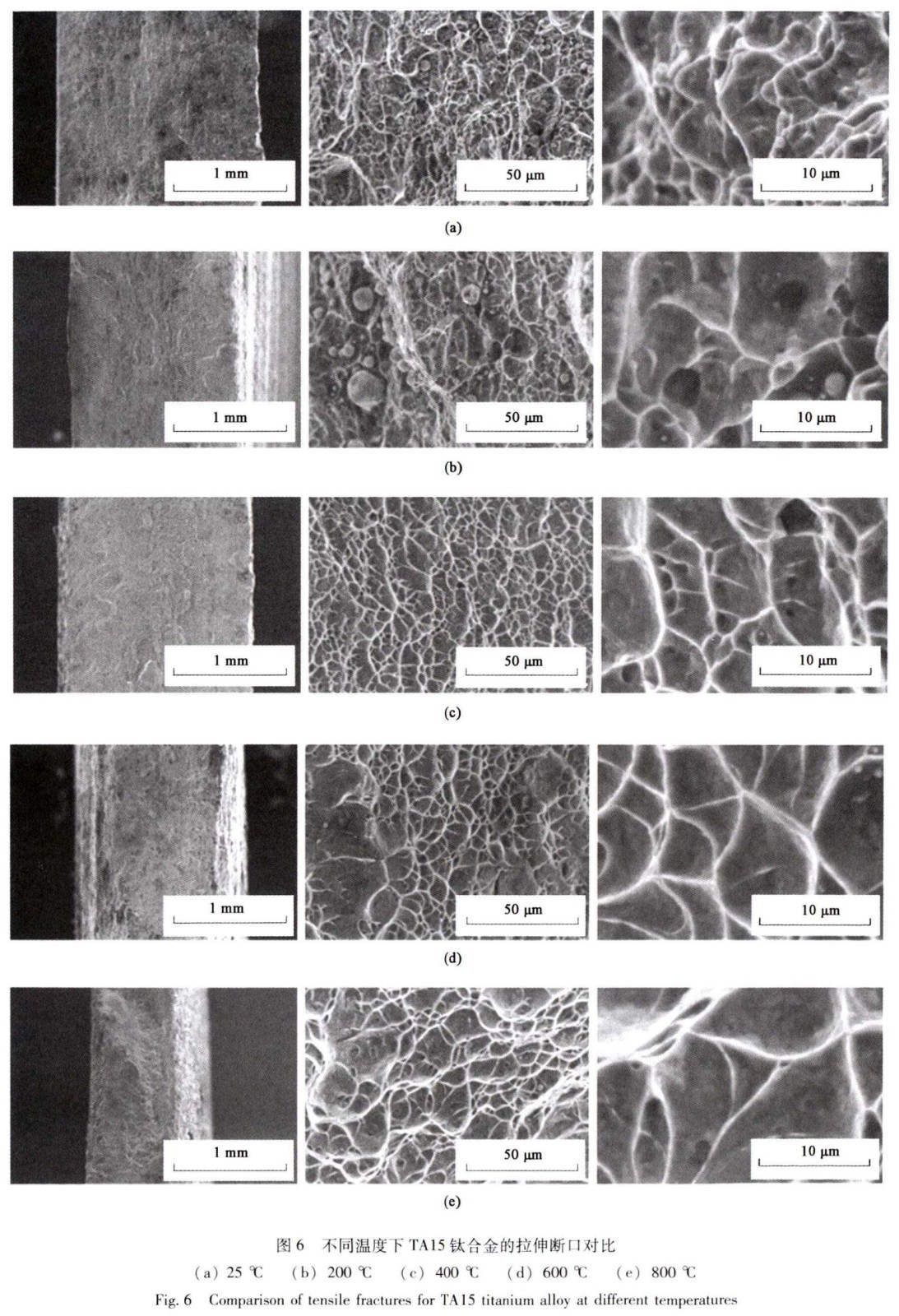 1747212767465302.jpg 6.jpg