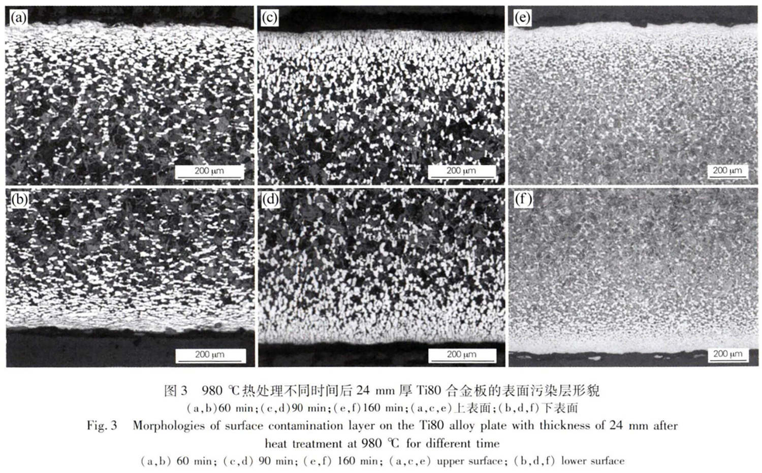 1752846391949940.png 截圖20250718214354.png