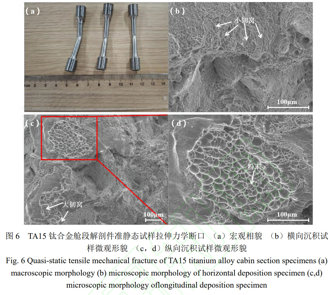 1762342165455781.jpg 未標題-2.jpg