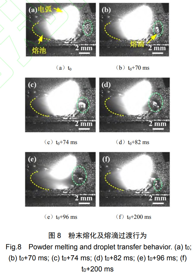 1764041022479388.jpg 8.jpg