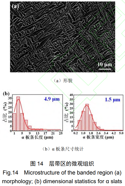 1764041083862432.png 14.png