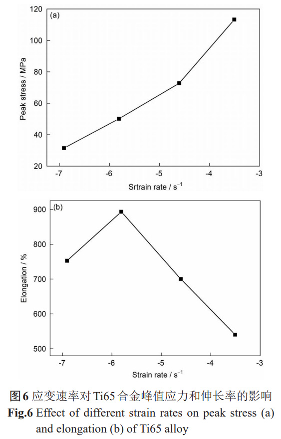 1765683378163133.jpg 6.jpg