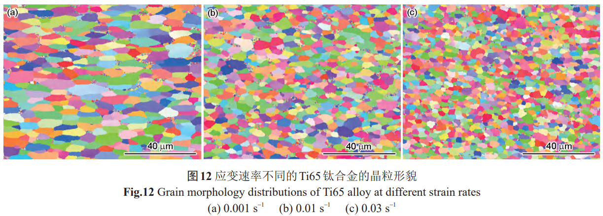 1765683551820772.png 12.png